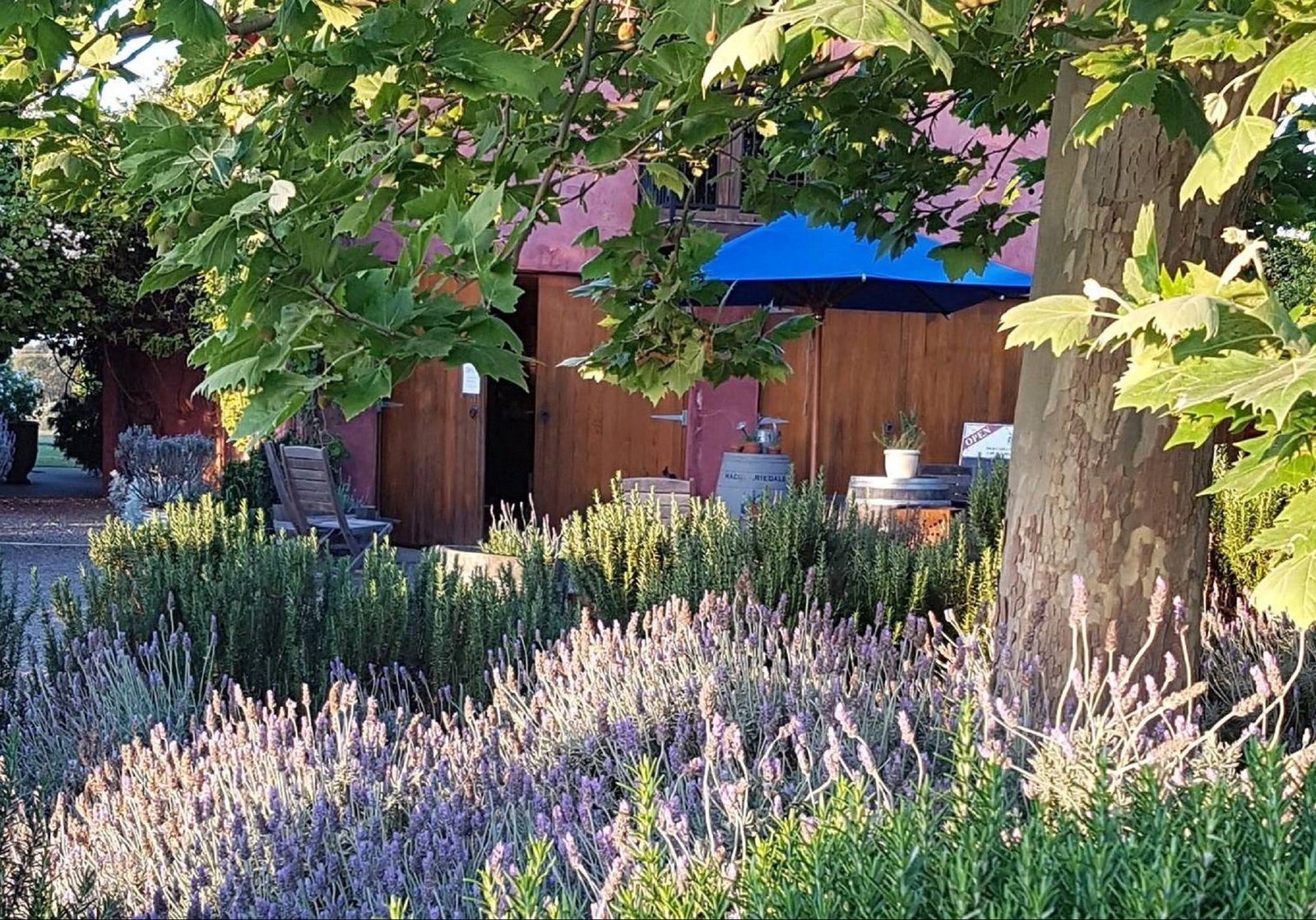 Belford NSW Pubs and Clubs