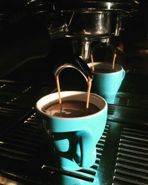 The Roastery - Go Out 0