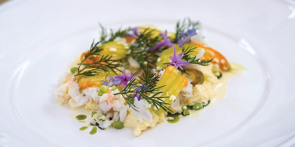 Montville QLD Go Out