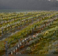 Cape Grace Wines - Pubs and Clubs