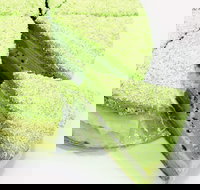 Furuta Dessert House - Glen Waverley - Pubs and Clubs