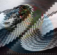 Merlo - Indooroopilly - Pubs and Clubs