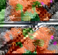 Sushi Izakaya Bar - Pubs and Clubs