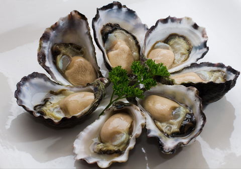 Tathra Oysters - Go Out 0