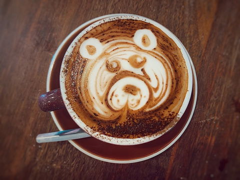 The Mountain Brew Coffee - Go Out 0