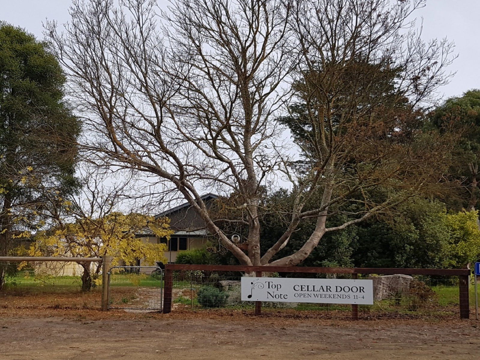 Paris Creek SA Go Out
