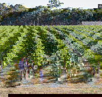 Weathercraft Wines - Go Out