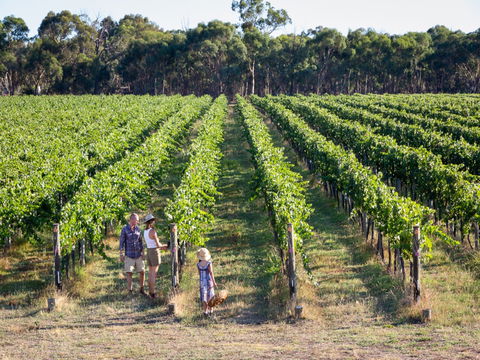 Weathercraft Wines - Go Out 0
