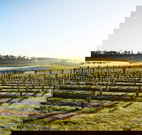 Wine Terrace and Cellar Door at Pt Leo Estate - Go Out