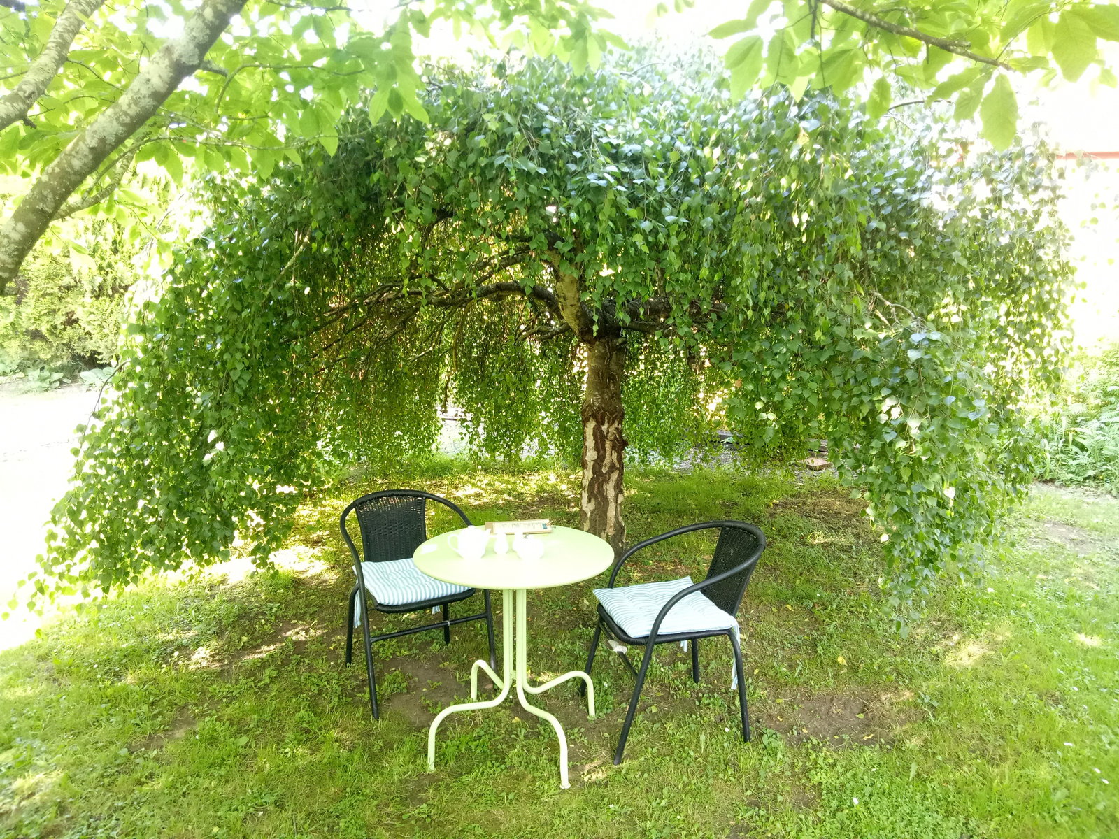 Mole Creek TAS Go Out