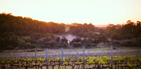 Howling Wolves Wines - Pubs and Clubs 0
