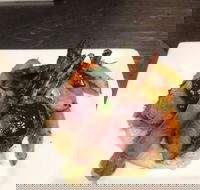 Little Manly Beach Kiosk - Pubs and Clubs