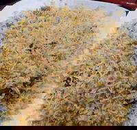 Man-O-Salwa - Clayton - Pubs and Clubs