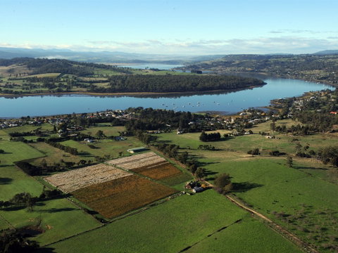 Stoney Rise Wine Company - Pubs and Clubs 1