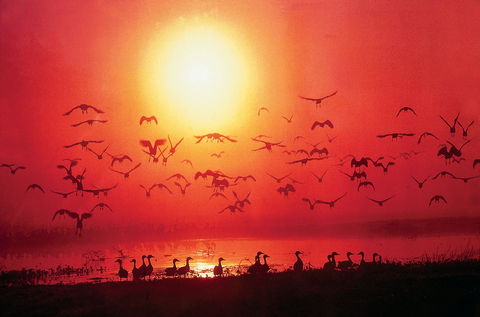 Cool Spot Cafe - Fannie Bay - Go Out 0