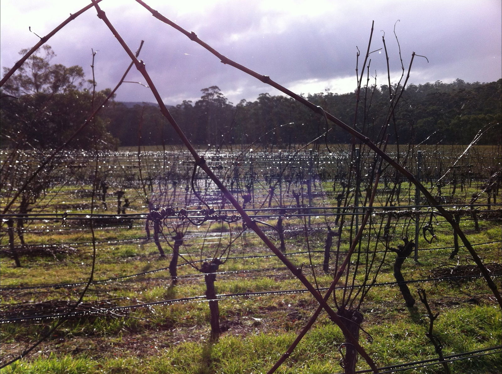Orford TAS Go Out