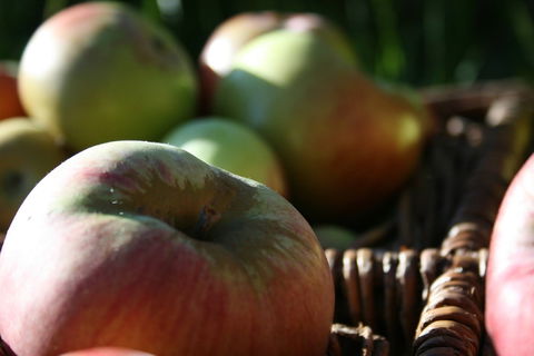 Denmark Heritage Cider Company - Pubs and Clubs 0
