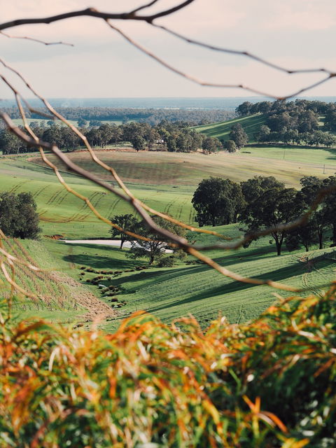 Green Door Winery Cellar Door - Pubs and Clubs 0