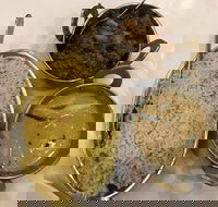 Nawab Sahab Restaurant - Tarneit - Go Out