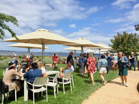 Basils Farm - Go Out 0