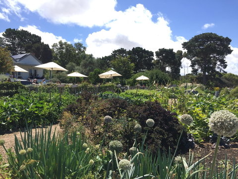 Basils Farm - Go Out 2