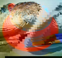 Routleys Bakery - Go Out