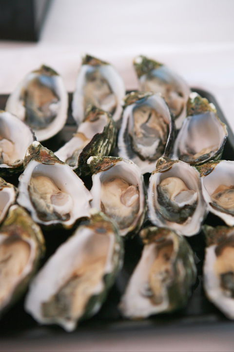 S.D. Caputo And Sons - Pubs and Clubs 0