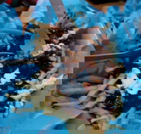 Two Hands Bar - Go Out