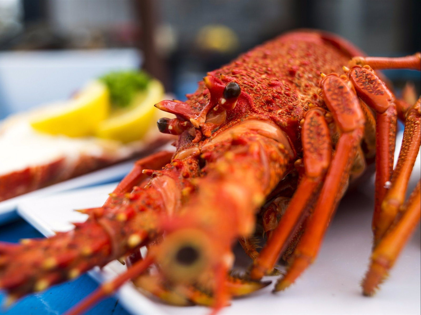 Coles Bay TAS Go Out