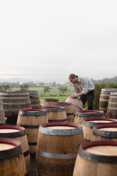 Lark Distillery - Pubs and Clubs 2