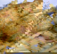 Red Rooster - Malaga - Go Out