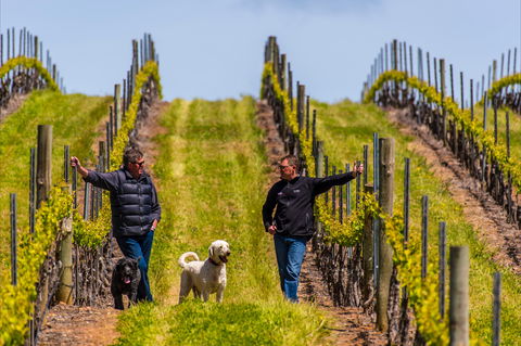 Tim Adams Wines - Go Out 2