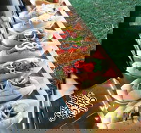 Balter Brewing Company - Pubs and Clubs