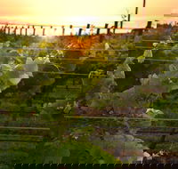 Bennetts on Bellarine Winery - Go Out