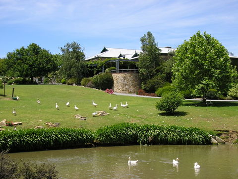 Geoff Merrill Wines - Go Out 1