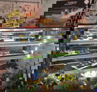 Green Grotto - Go Out