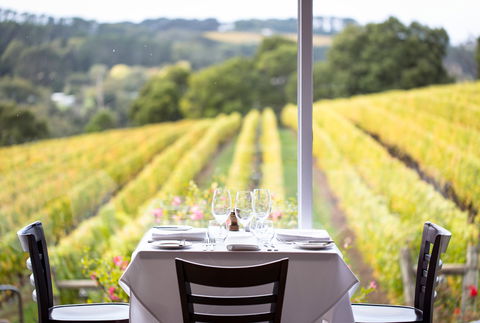 Paringa Estate Winery And Restaurant - Go Out 0