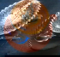 Piemonte Cafe - Go Out