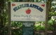 Staples Apples - thumb 2