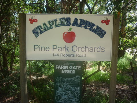 Staples Apples - Pubs and Clubs 2