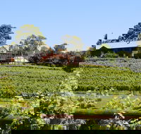 djinta djinta Winery - Go Out