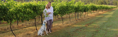 Greenway Wines - Go Out 1
