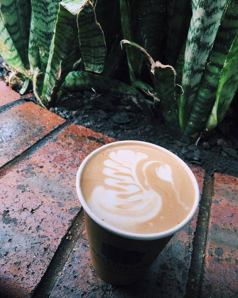 Milk & Froth - Clayfield - Pubs and Clubs 0