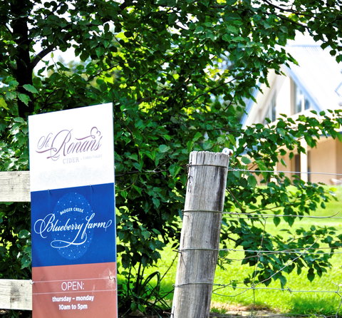 Badger Creek Blueberry Winery - Go Out 1