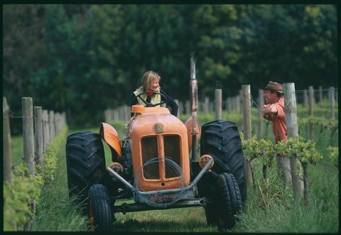 Oranje Tractor Wine - Pubs and Clubs 0
