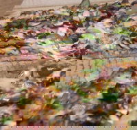 Papa's Pizza  Pasta - Pubs and Clubs