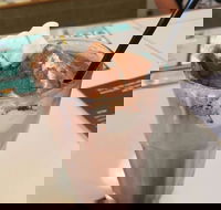 Sankalp - Pubs and Clubs