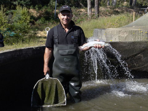 41 Degrees South Tasmania - Go Out 0