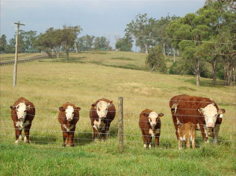 Langdale Farm - Go Out 1