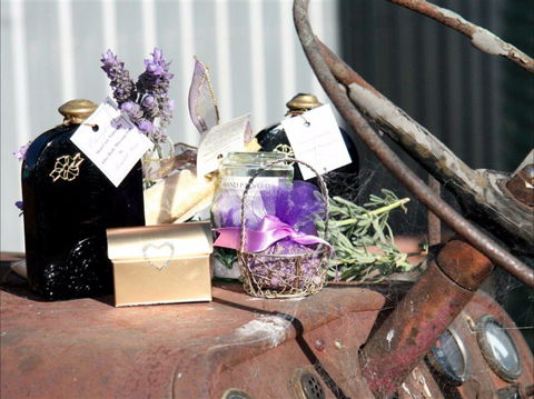 Langdale Farm - Go Out 2